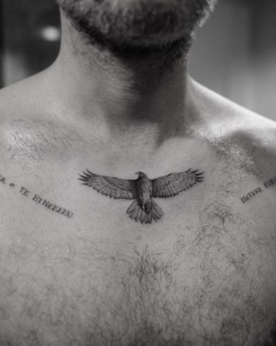 Discover 18 Hawk Tattoo Designs for : Symbolic Ink Ideas for Men and Women