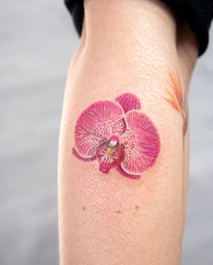 26 Orchid Tattoo Ideas for Minimalist, Colour, and Fine Line Designs