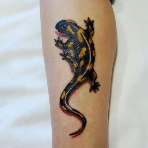 Explore 20 Unique Lizard Tattoo Ideas for : Stunning Designs for Men and Women