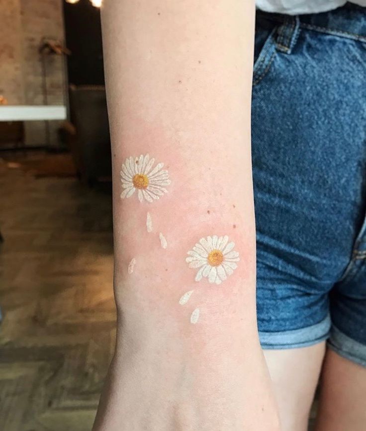25 Daisy Tattoo Ideas with Fine Line, Watercolor, Minimalist, Stencil, Traditional & Dainty Designs