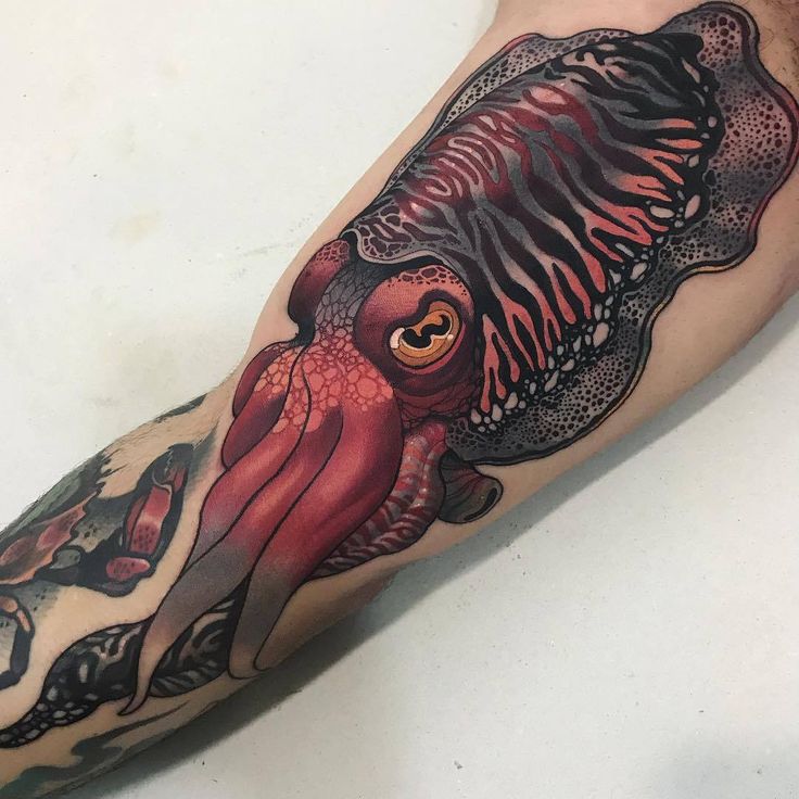 27 Octopus Tattoo Ideas for Men & Women Realistic, Sleeve, Leg, Shoulder & Tiny Octopus Designs