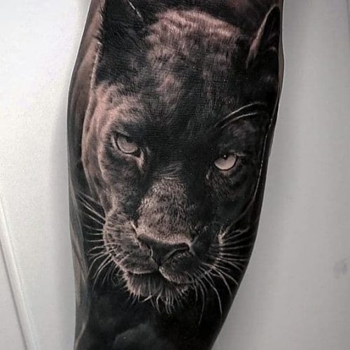 18 Cat Tattoo Ideas for Men