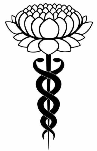 27 Caduceus Tattoo Ideas