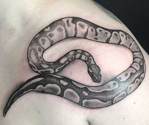 21 Snake Shoulder Tattoos Ideas for Bold Expressions