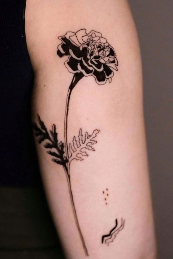 25 Carnation Tattoo Ideas : Traditional Designs for Women, Shoulder, Sleeve, Ankle & More