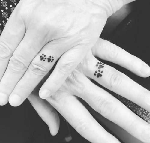 27 Cat Tattoo Ideas for the Finger