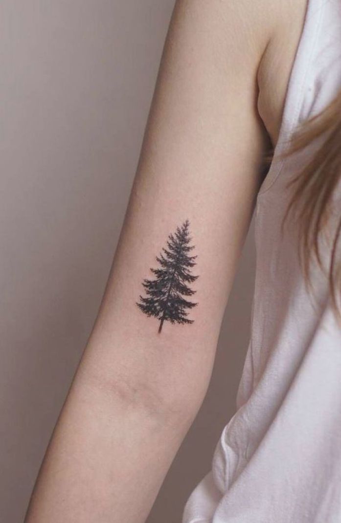 30 Pine Tree Tattoo Ideas: Quiet Symbols of Resilience, Place, and Peace