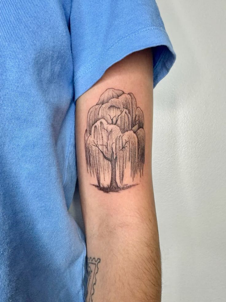 28 Willow Tree Tattoo Ideas: Graceful Designs Filled with Emotion, Meaning, and Quiet Strength