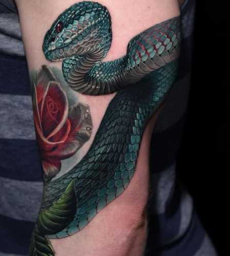 16 Snake Tattoos Wrapped Around Arm Inspiration