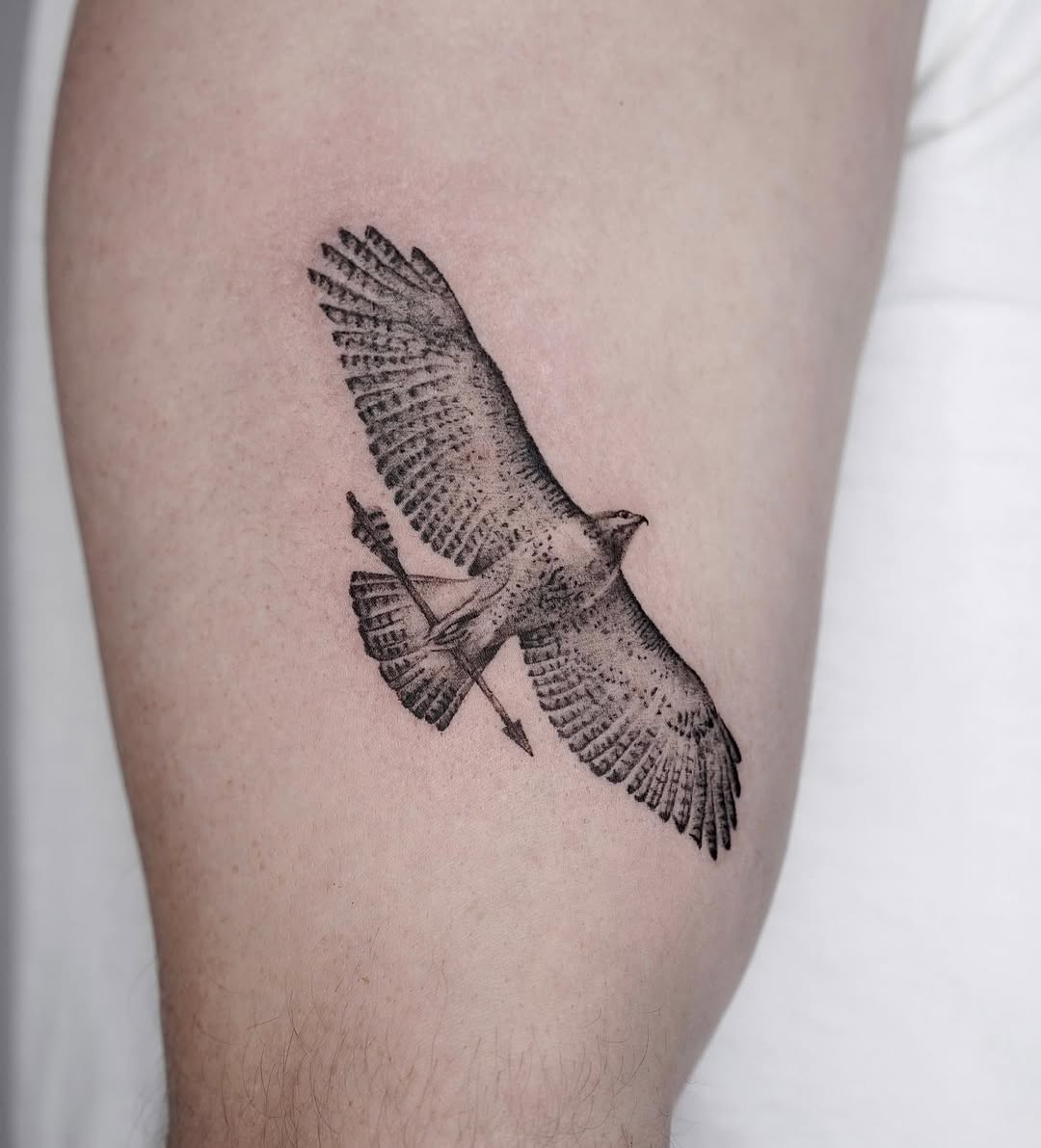 29 Hawk Tattoo Ideas: Bold Designs That Capture Power and Freedom