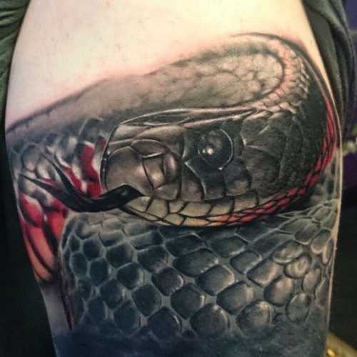 17 Awe-Inspiring Viper Snake Tattoo Concepts