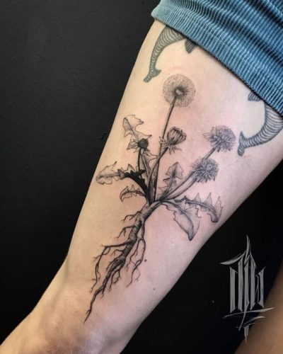 Discover 22 Unique Dandelion Tattoo Inspirations for Embrace Nature’s Beauty on Your Skin