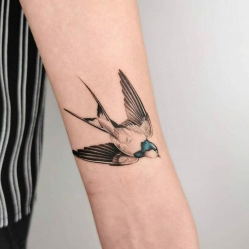 Swallow Tattoos : Discover 20 Unique and Symbolic Designs for Men and Women
