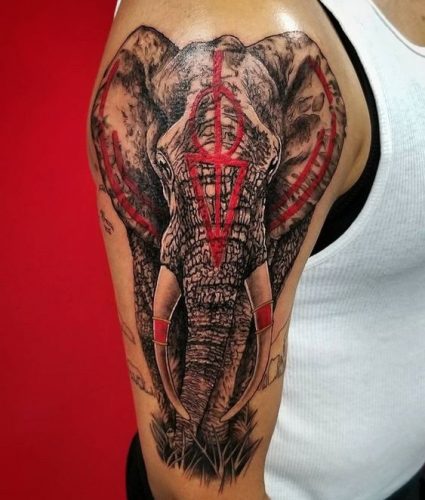 17 Elephant Tattoo Ideas for Women