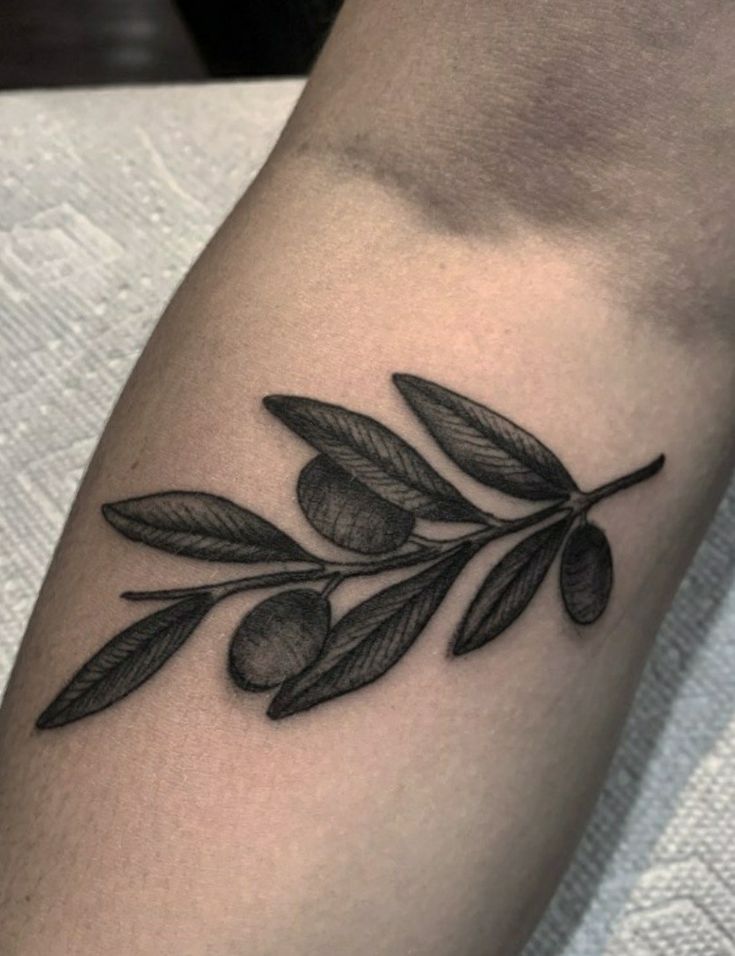 26 Olive Branch Tattoo Ideas : Fine Line, Arm Wrap, Minimal, American Traditional Designs
