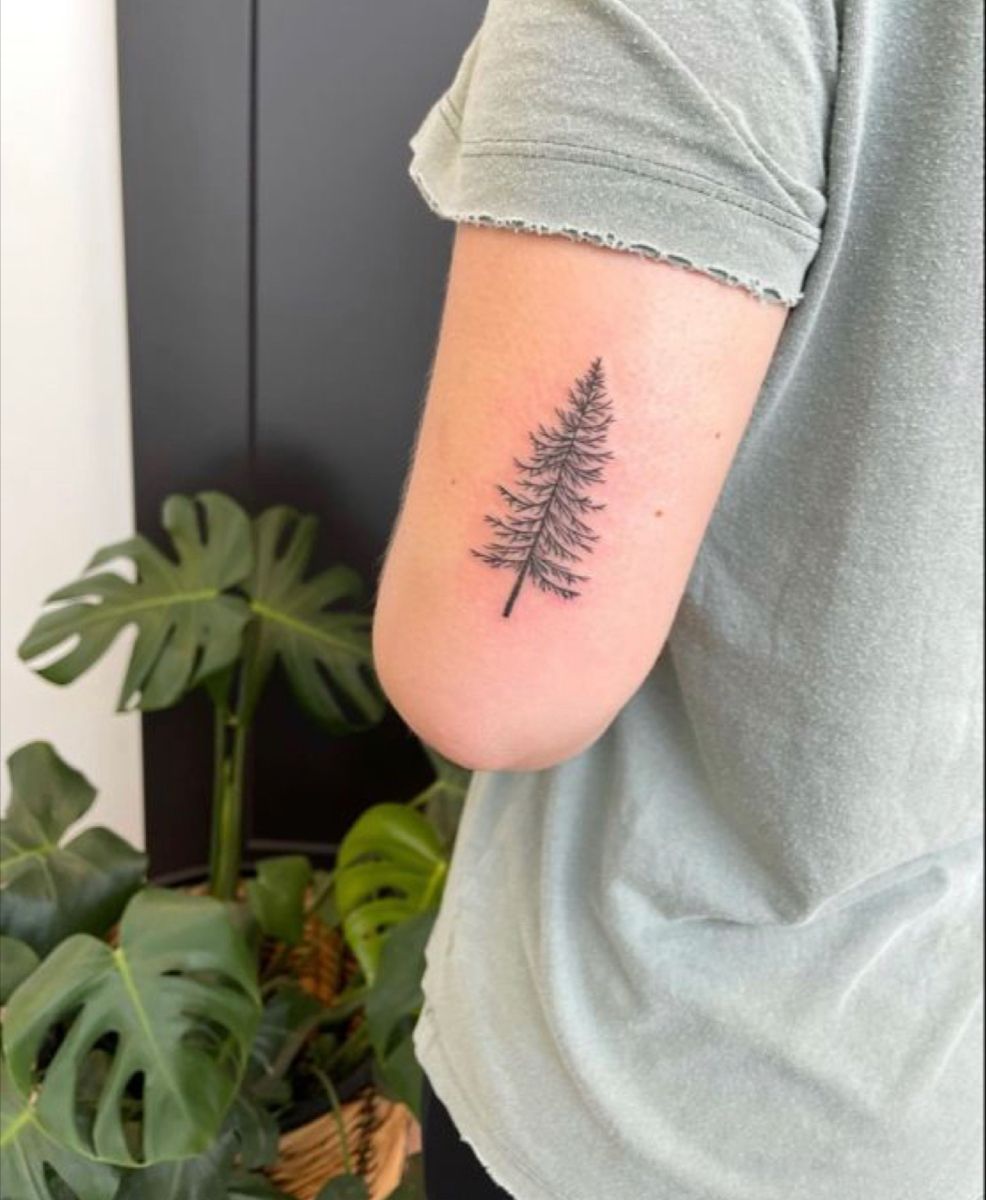 30 Pine Tree Tattoo Ideas: Quiet Symbols of Resilience, Place, and Peace