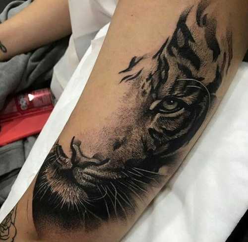 20 Tiger Eyes Tattoo Ideas