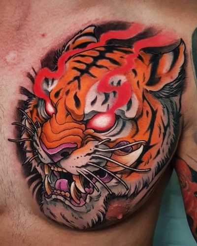 20 Tiger Eyes Tattoo Ideas