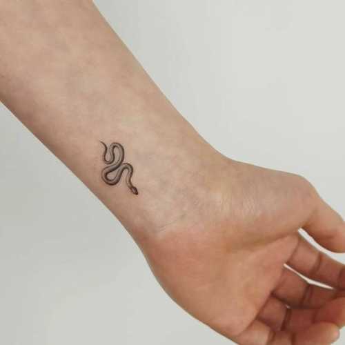 29 Mesmerizing Snake Tattoo Design Ideas