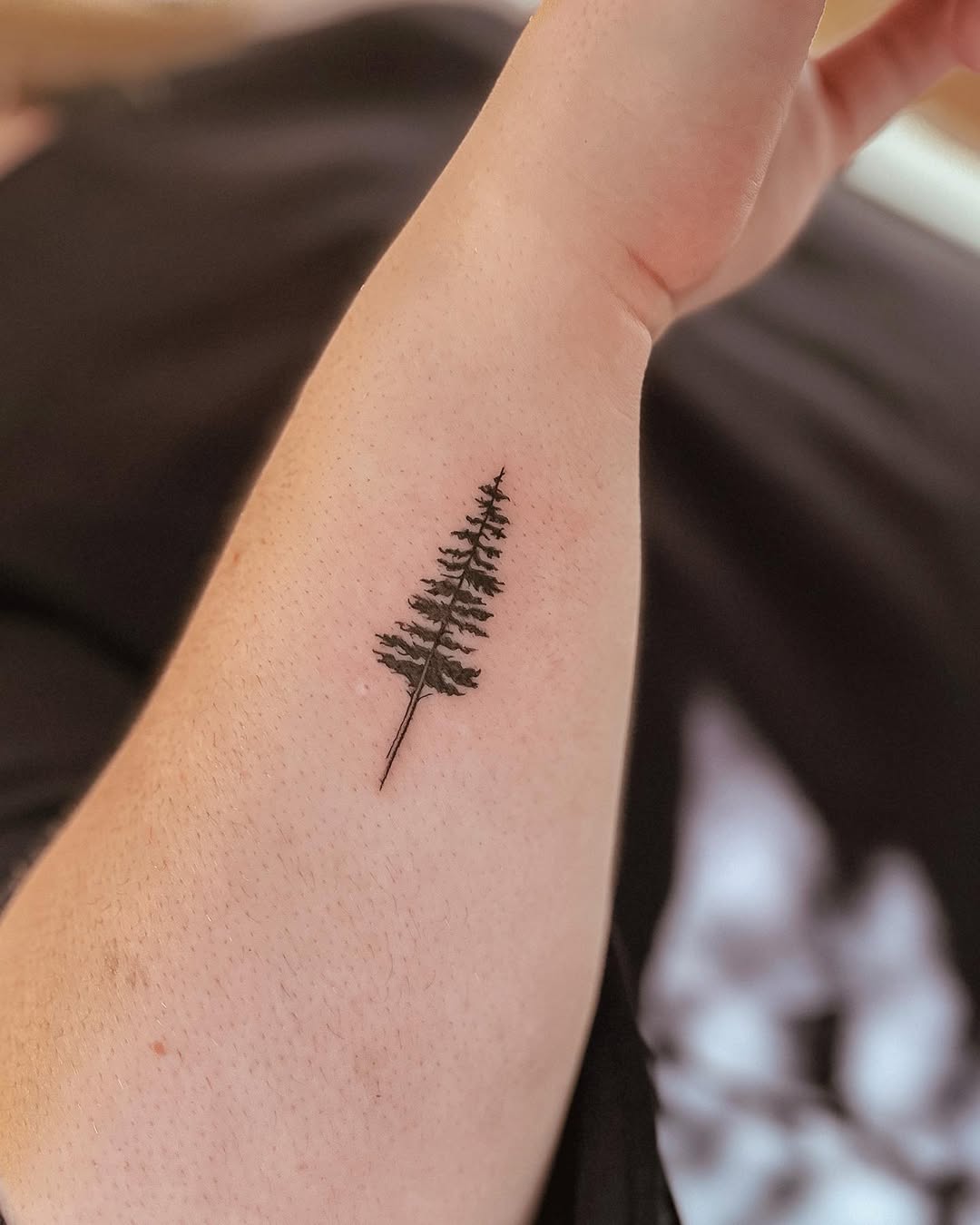 30 Pine Tree Tattoo Ideas: Quiet Symbols of Resilience, Place, and Peace