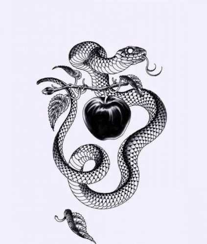 15 Captivating Snake Tattoo Sketch Ideas
