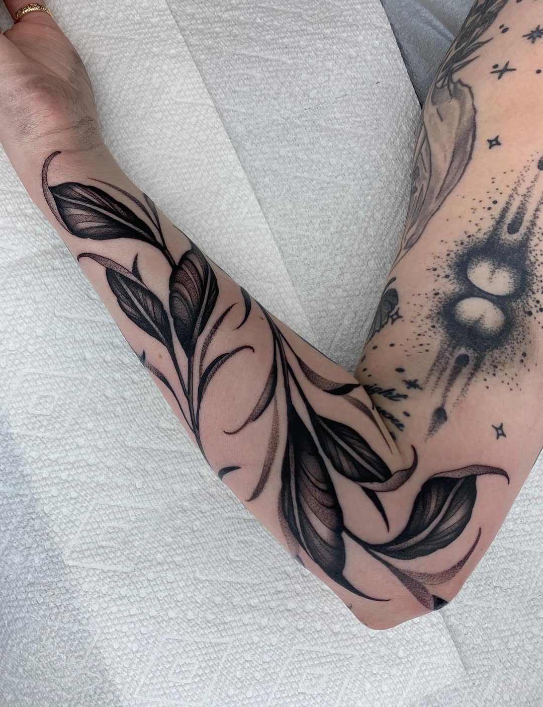 25 Vine Tattoo Designs for Women and Men Sleeve, Arm, Shoulder, Traditional, Wrap Around Ideas