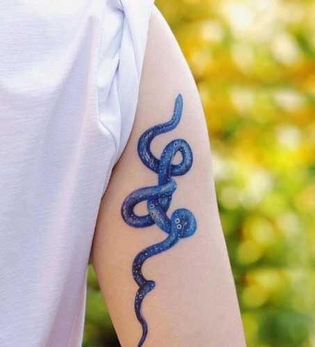25 Ideas Embracing Color in Snake Tattoo Designs