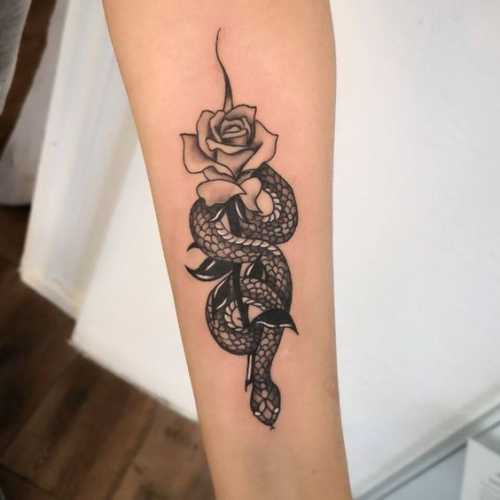 17 Explore Snake Tattoo Traditional Designs