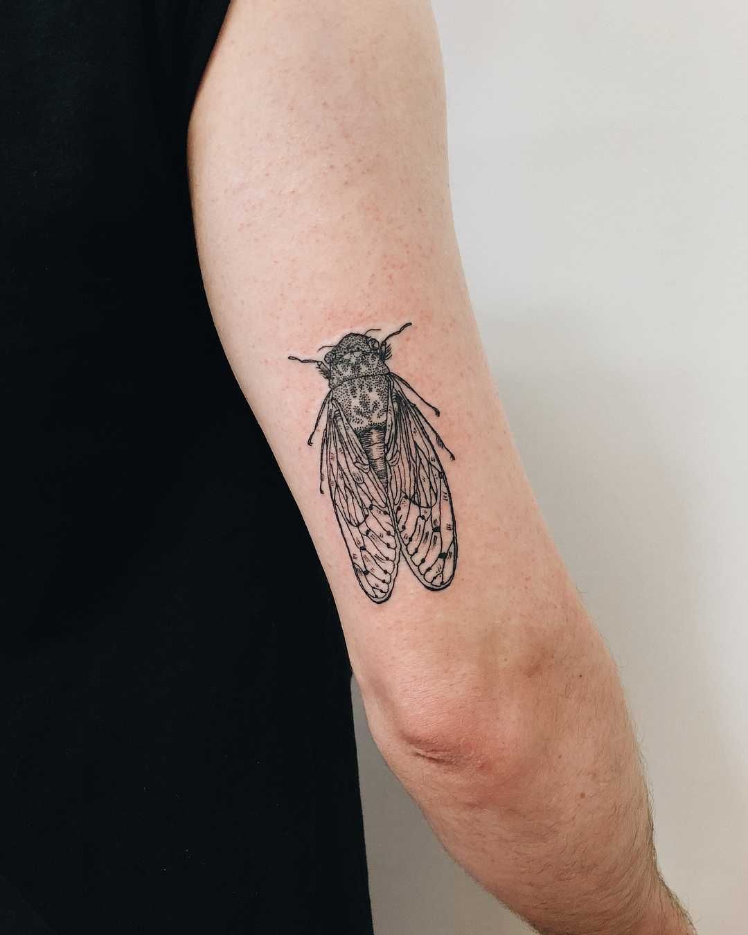 29 Cicada Tattoo Ideas: From Simple Linework to Lush Color