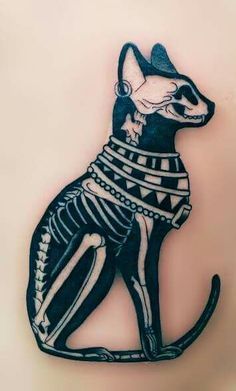 19 Cat Skull Tattoo Ideas