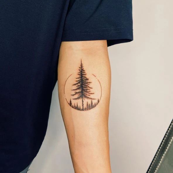 30 Pine Tree Tattoo Ideas: Quiet Symbols of Resilience, Place, and Peace