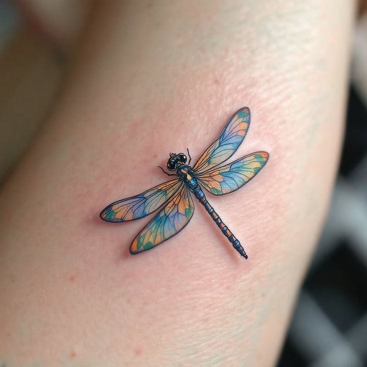 28 Ideas Dragonfly Tattoo : Designs That Soar with Style, Meaning & Personality