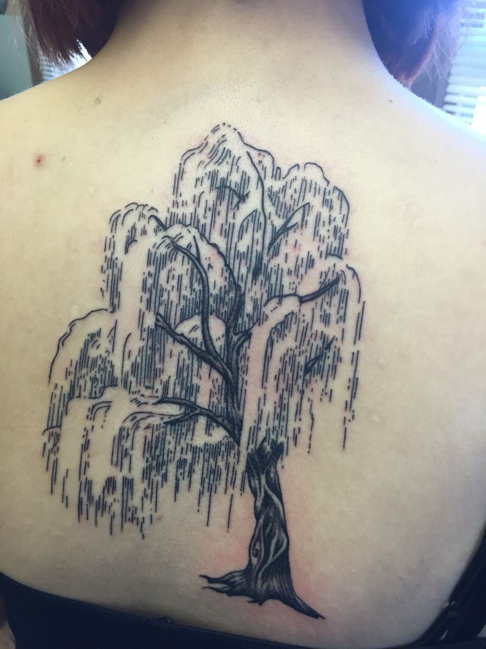 28 Willow Tree Tattoo Ideas: Graceful Designs Filled with Emotion, Meaning, and Quiet Strength