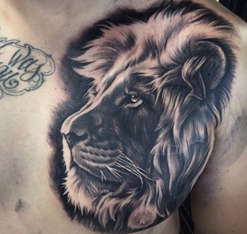 20 Ideas for Lion Tattoos: Drawing Inspiration, Images, and Sketches
