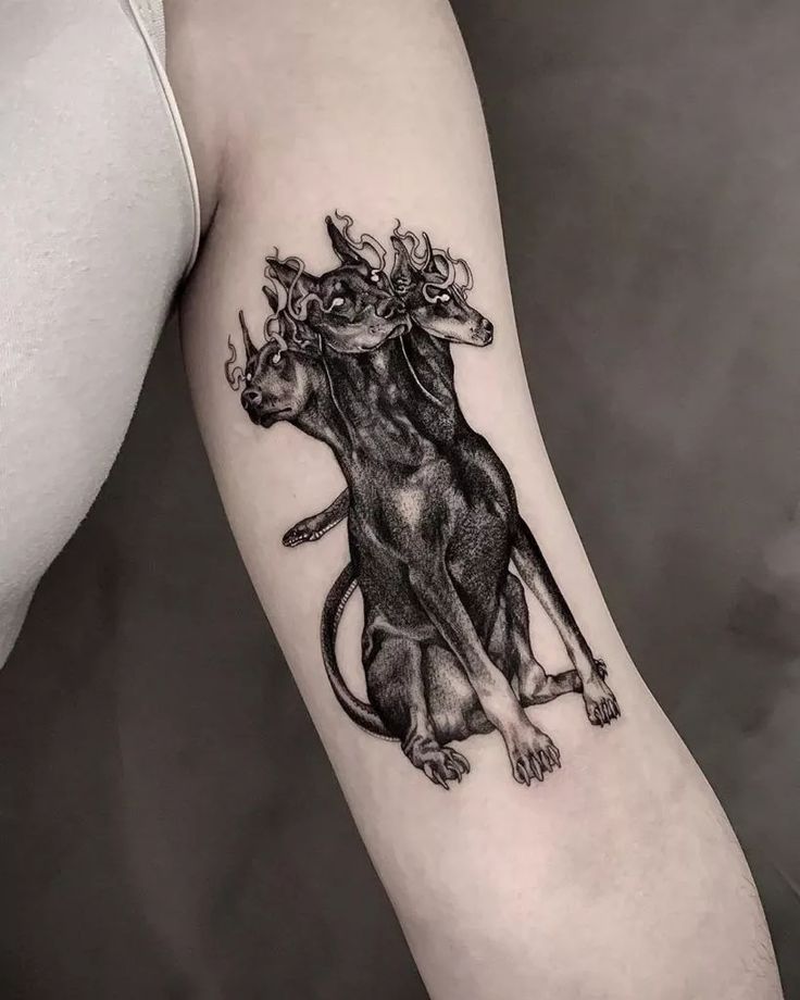 27 Cerberus Tattoo Ideas with Greek Mythology Designs for Chest, Shoulder, and Cute Styles