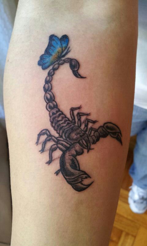 29 Scorpio Tattoo Ideas : Unique Designs with Traditional Styles and Feminine Aesthetic