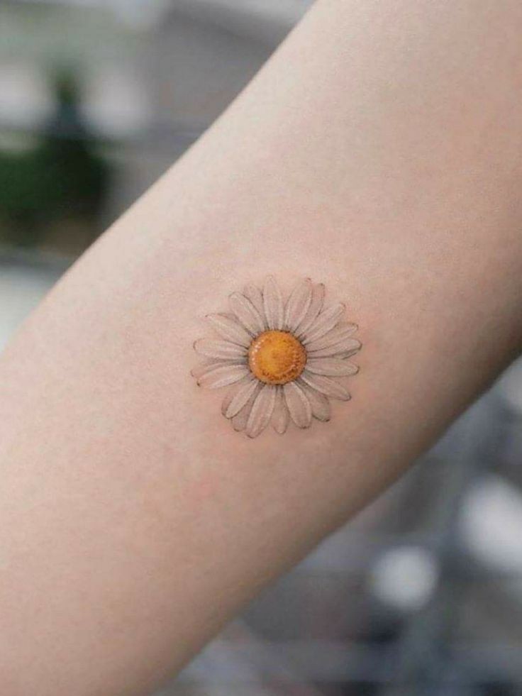 25 Daisy Tattoo Ideas with Fine Line, Watercolor, Minimalist, Stencil, Traditional & Dainty Designs