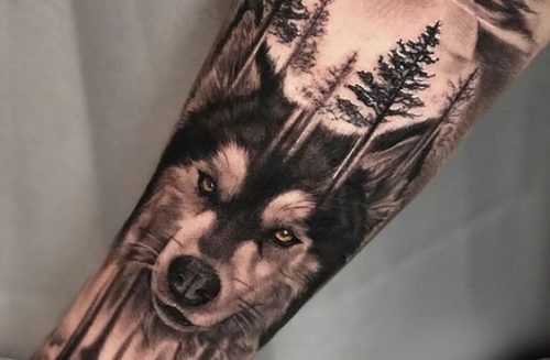 20 Husky Tattoo Ideas for