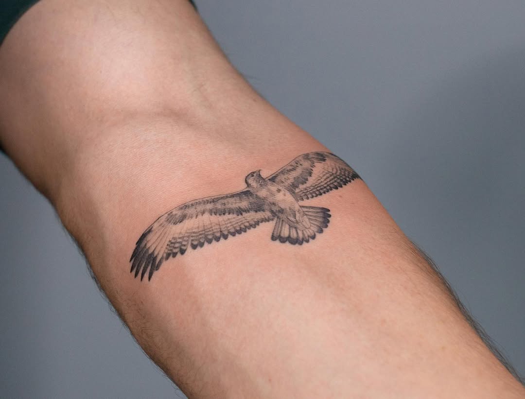 29 Hawk Tattoo Ideas: Bold Designs That Capture Power and Freedom