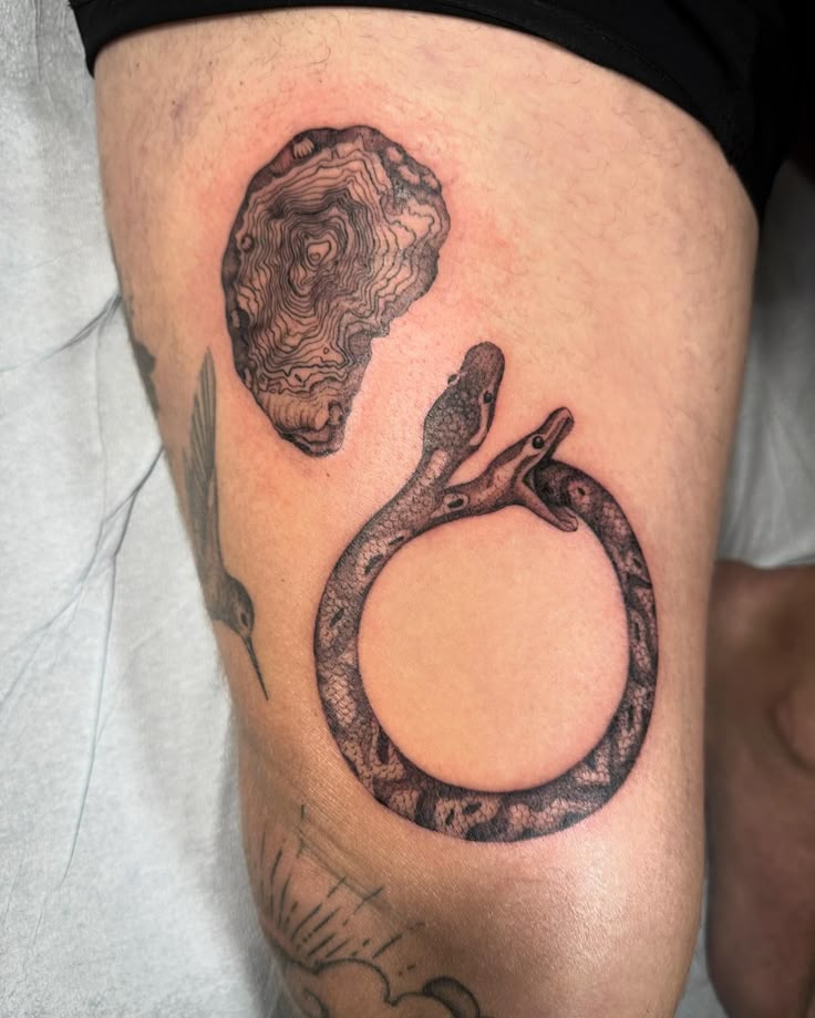 25 Ouroboros Tattoo Ideas : Minimalist, Dragon, FMAB &#038; Traditional Snake Designs