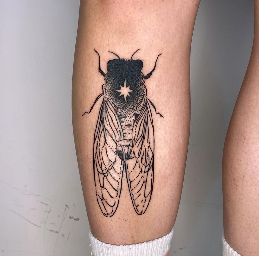 29 Cicada Tattoo Ideas: From Simple Linework to Lush Color