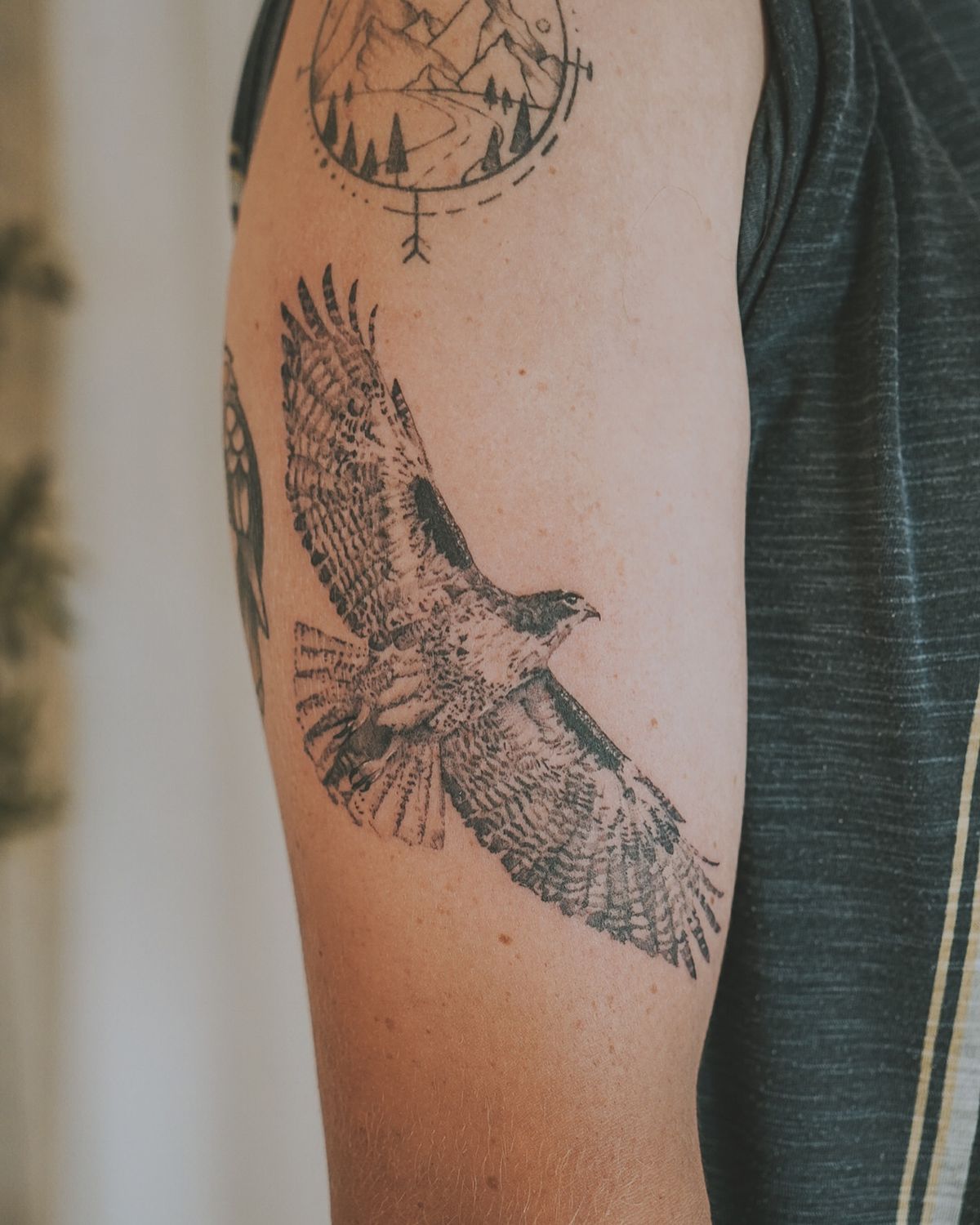 29 Hawk Tattoo Ideas: Bold Designs That Capture Power and Freedom