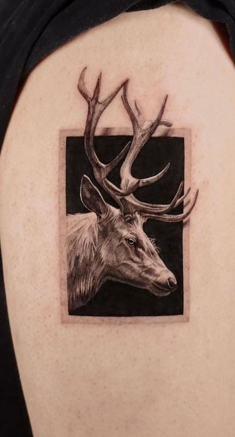 27 Deer Tattoo Ideas That Blend Nature, Style, and Symbolism