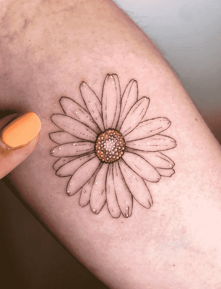 25 Daisy Tattoo Ideas with Fine Line, Watercolor, Minimalist, Stencil, Traditional & Dainty Designs