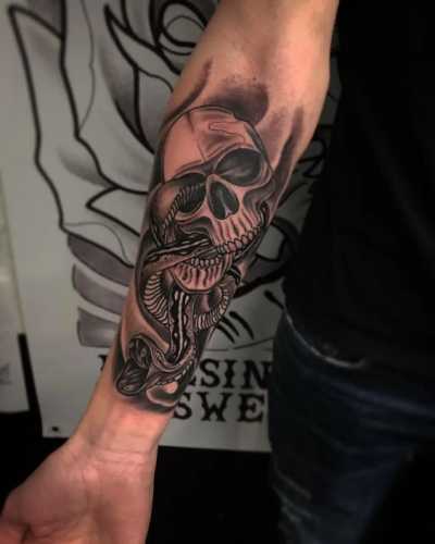 20 Snake Tattoos on Arm for a Bold Statement