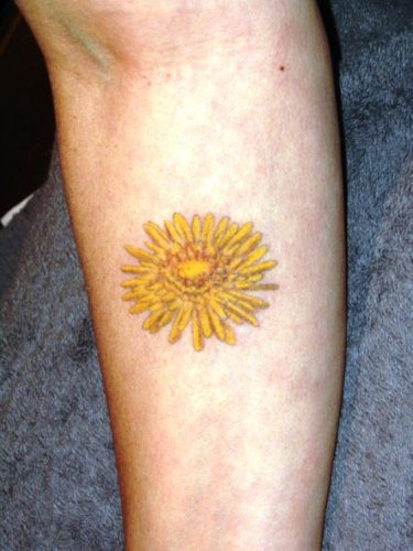 Discover 22 Unique Dandelion Tattoo Inspirations for Embrace Nature’s Beauty on Your Skin