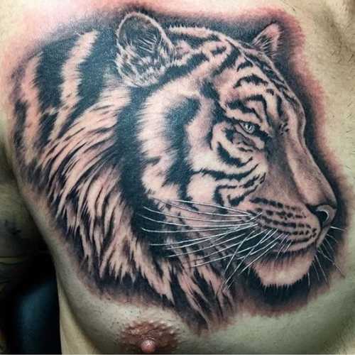 19 Tiger Head Tattoo Ideas