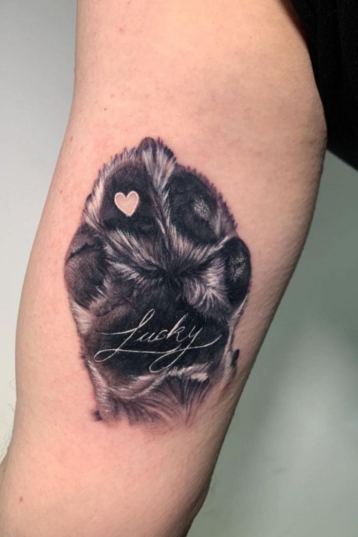 28 Paw Print Tattoo Ideas for Dog & Cat Lovers Memorial, Floral, Watercolor, Fine Line
