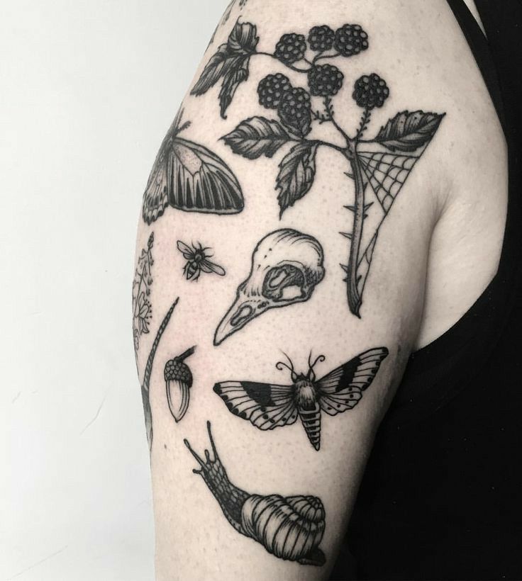 22 Ideas for Moth Tattoos in : A Stunning Blend of Dark and Traditional Styles