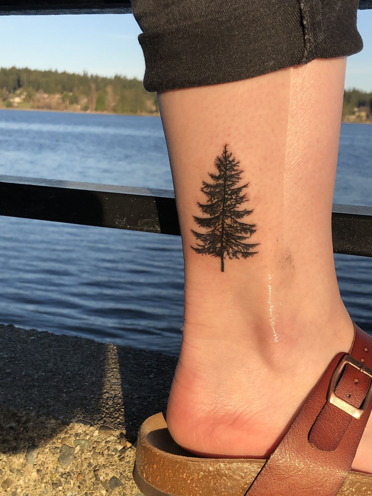 30 Pine Tree Tattoo Ideas: Quiet Symbols of Resilience, Place, and Peace